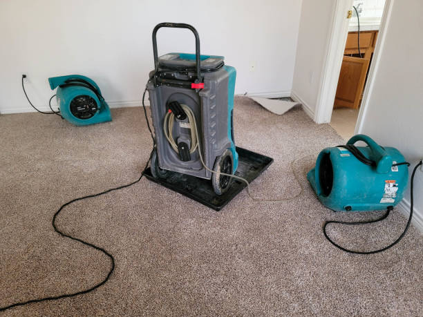 Best Water damage restoration process  in Unadilla, GA
