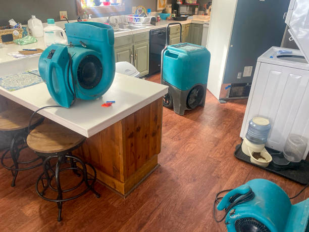 Best Water damage restoration specialists  in Unadilla, GA