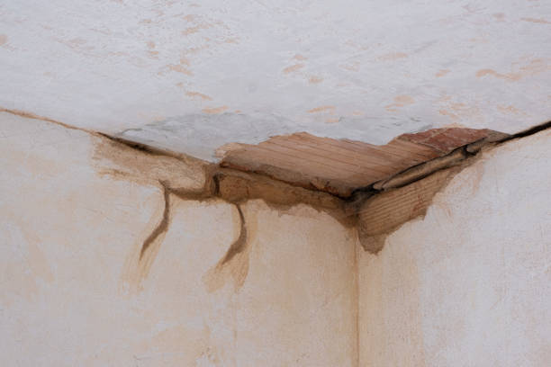 Best Mold removal after water damage  in Unadilla, GA