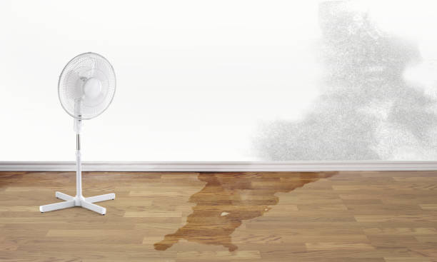Best Water damage restoration company  in Unadilla, GA