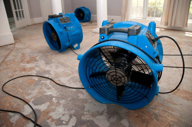 Best Residential water damage restoration  in Unadilla, GA