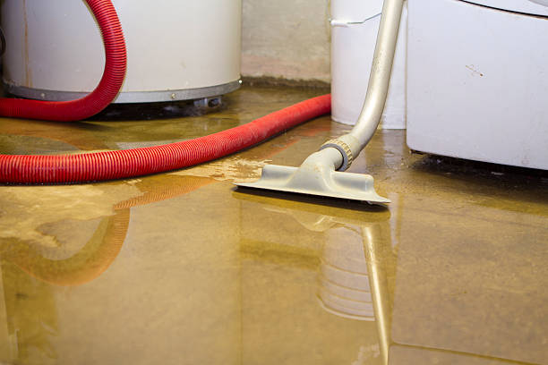 Best Basement water damage restoration  in Unadilla, GA