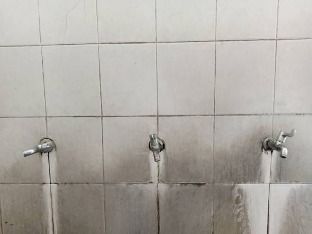 Best Carpet water damage restoration  in Unadilla, GA