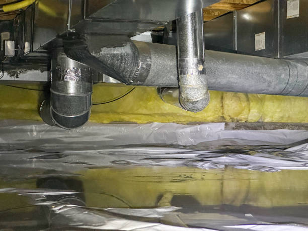 Best Local water damage restoration  in Unadilla, GA